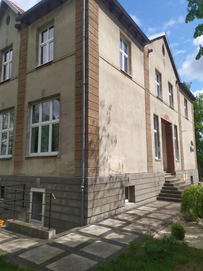 Feniks Pokoje Goscinne Malbork Esterno foto